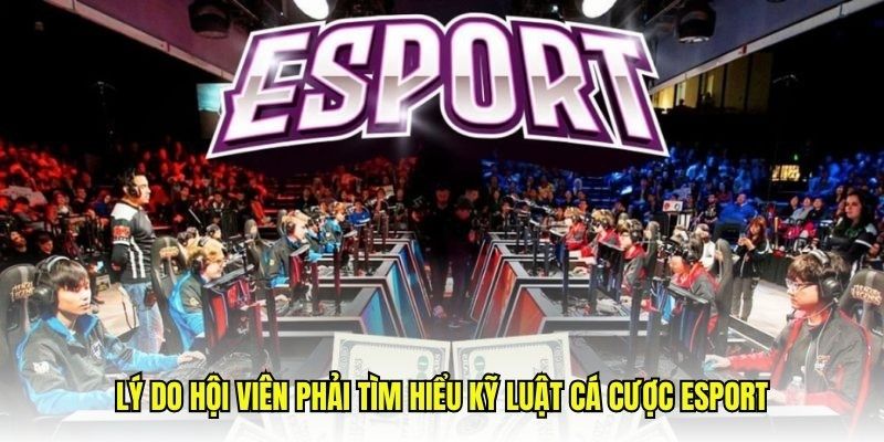 Hiểu luật cá cược esport để tránh mắc sai phạm