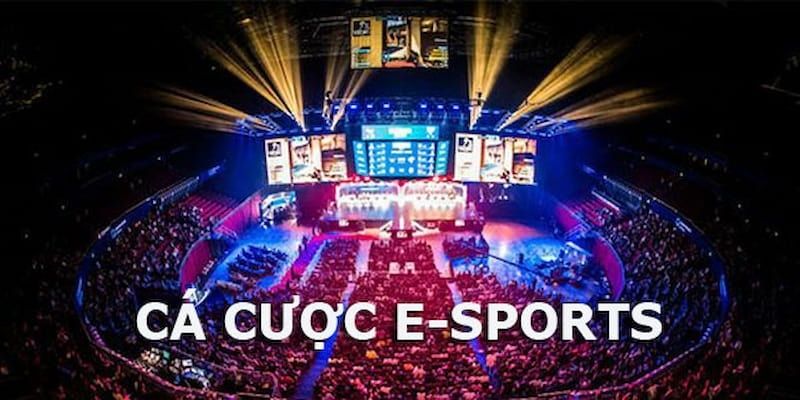 Quy định độ tuổi cược esport